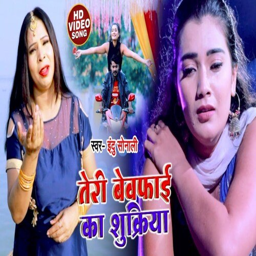 download Indu Sonali  Teri Bewfai Ka Shukriya mp3 Single Tracks song 