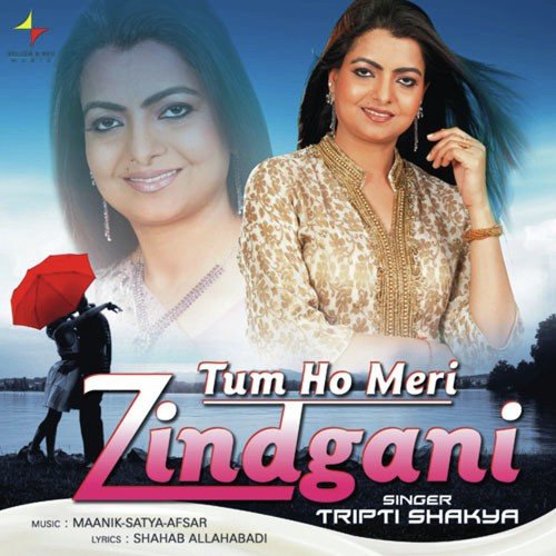 download Tripti Shakya  Teri Yadein mp3 Single Tracks song 