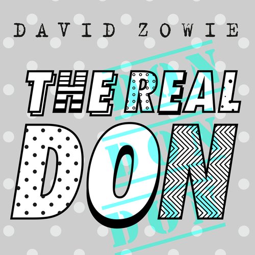 download David Zowie  The Real Don mp3 Single Tracks song 