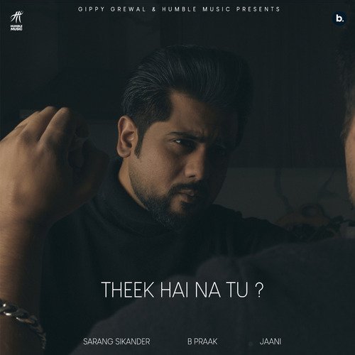 download Sarang Sikander, Jaani, B Praak  Theek Hai Na Tu mp3 Single Tracks song 