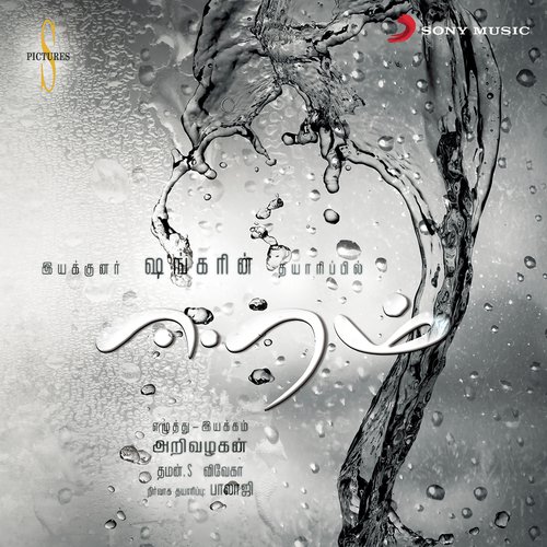 download SS Thaman  Theme Of Eeram mp3 Single Tracks song 