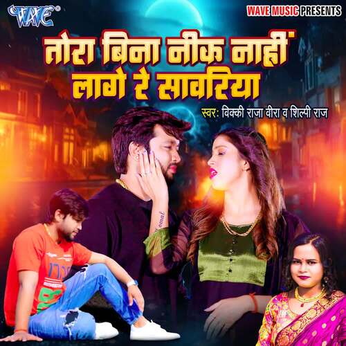 download Vicky Raja Veera, Shilpi Raj  Tora Bina Nik Nahi Lago Re Sanwariya mp3 Single Tracks song 