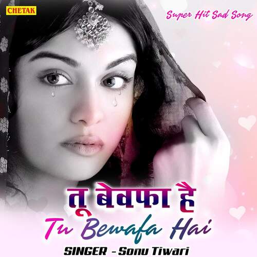 download Sonu Tiwari  Tu Bewafa Hai mp3 Single Tracks song 