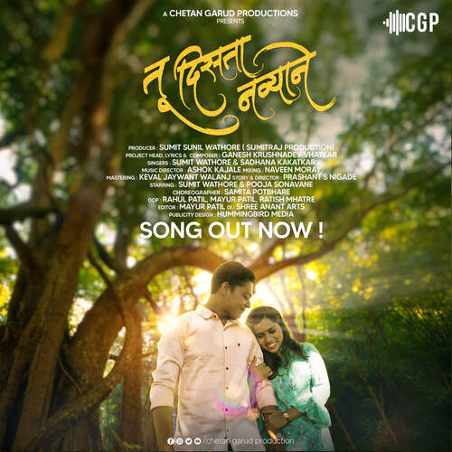 download Sumit Wathore, Sadhana Kakatkar  Tu Disata Navyane mp3 Single Tracks song 