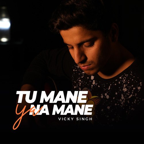 download Vicky Singh  Tu Mane Ya Na Mane mp3 Single Tracks song 