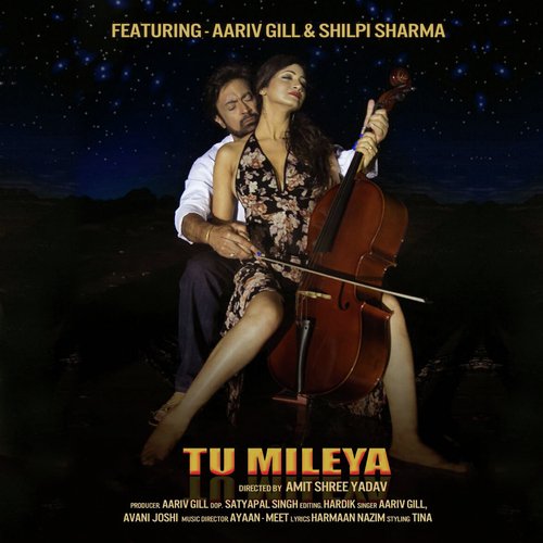 download   Tu Mileya mp3 Single Tracks song 