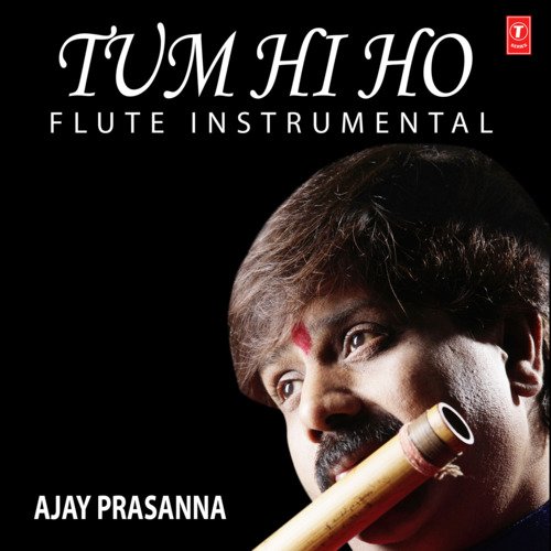 download Mithoon  Tum Hi Ho - Flute Instrumental mp3 Single Tracks song 