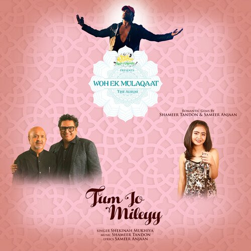 download   Tum Jo Mileyy mp3 Single Tracks song 