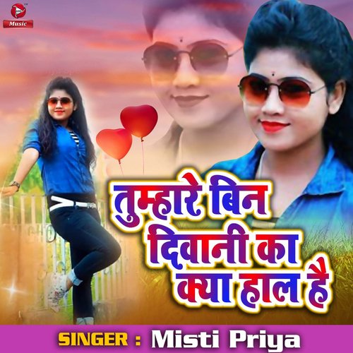 download Mishti Priya  Tumhare Bina Deewane Ka Kya Haal Hai mp3 Single Tracks song 