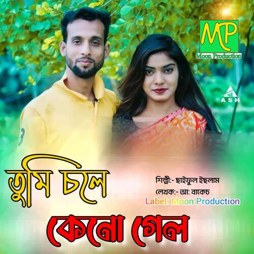 download Saiful Islam  Tumi Chole Keno Gela mp3 Single Tracks song 