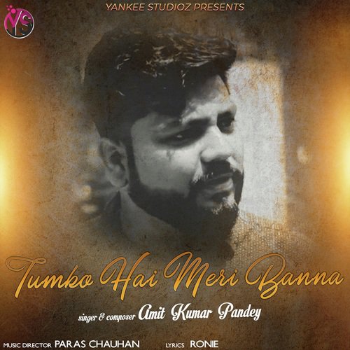 download Amit Kumar Pandey  Tumko Hai Meri Banna mp3 Single Tracks song 