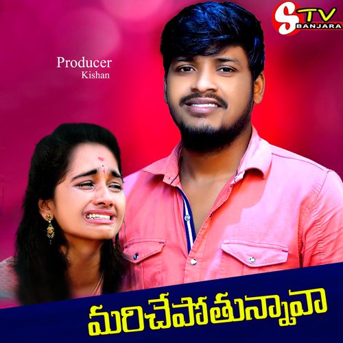 download   VADHLI POTHUNAVA NANNU ONTARI CHESHAVA mp3 Single Tracks song 