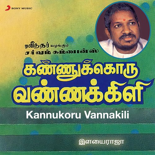 download Ilaiyaraaja, Anuradha, Sunandha  Vaalibam Vaanavil mp3 Single Tracks song 