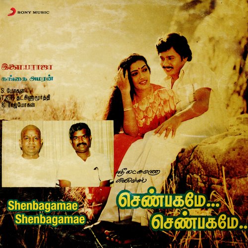 download Ilaiyaraaja, S.P. Balasubrahmanyam, S. Janaki  Vasalile Poosani Poo mp3 Single Tracks song 