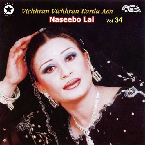 download Naseebo Lal  Vichran Vichran Karna Aen mp3 Single Tracks song 