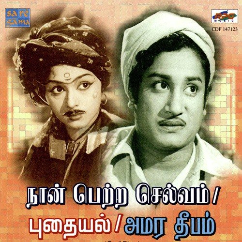 download Chidambaram Jayaraman, P. Susheela  Vinnodum Mugilodum mp3 Single Tracks song 