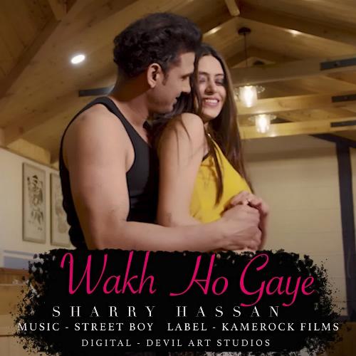 download Sharry Hassan  Wakh Ho Gaye mp3 Single Tracks song 