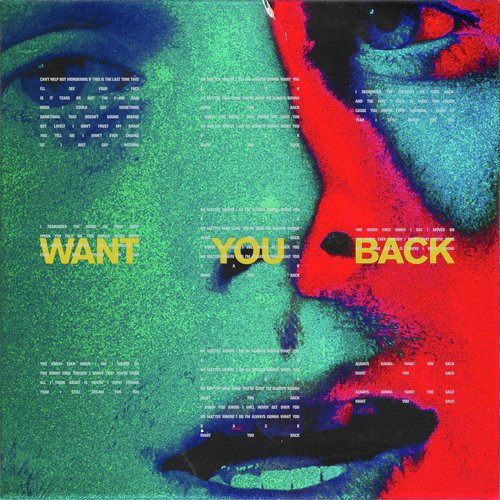 download 5 Seconds Of Summer  Want You Back mp3 Single Tracks song 