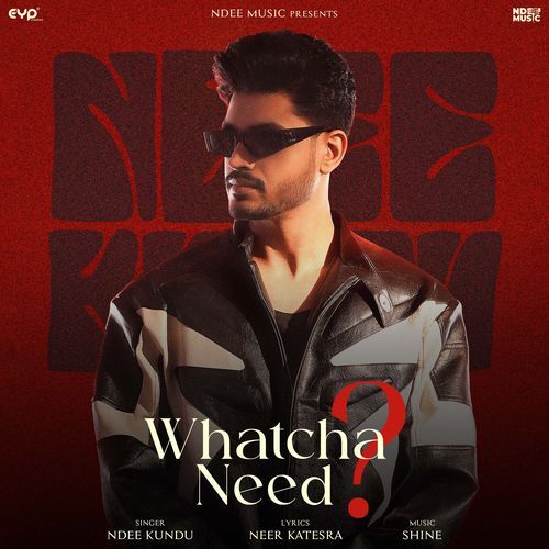 download Ndee Kundu  Whatcha Need mp3 Single Tracks song 