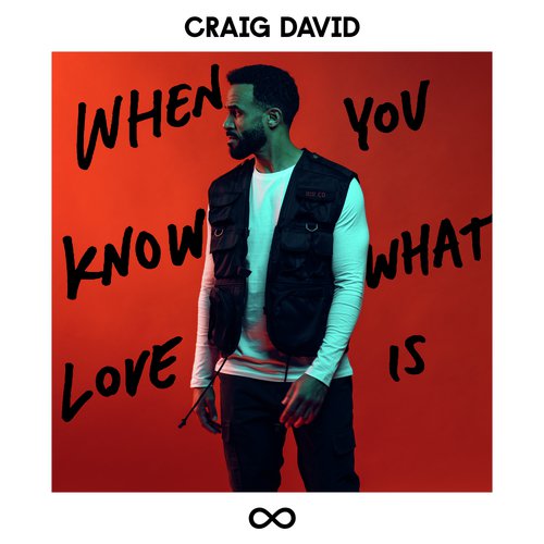 download Craig David  When You Know What Love Is mp3 Single Tracks song 