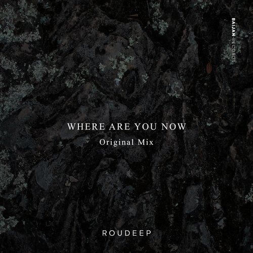 download Roudeep  Where Are You Now mp3 Single Tracks song 