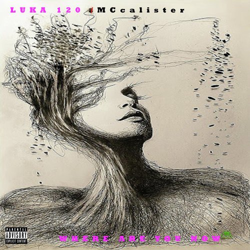 download Luka 120, MC Calister  Where Are You Now mp3 Single Tracks song 