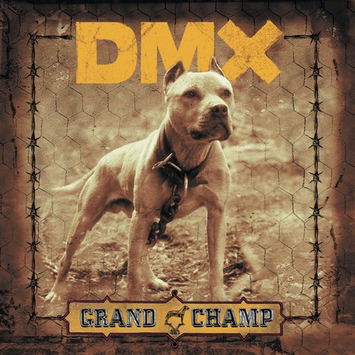 download Dmx  Where The Hood At mp3 Single Tracks song 