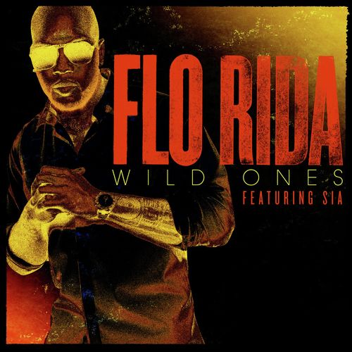 download Flo Rida, Sia  Wild Ones mp3 Single Tracks song 