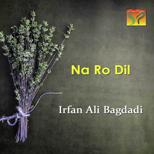 download Irfan Ali Bagdadi  Yaar Di Shadi mp3 Single Tracks song 