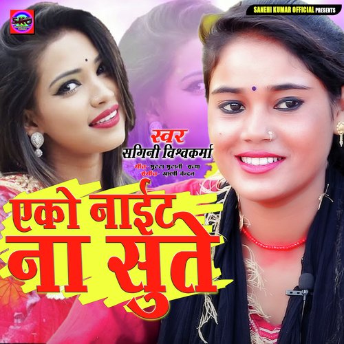 download Ragini Vishwakarma  Yeko Night Na Sute mp3 Single Tracks song 