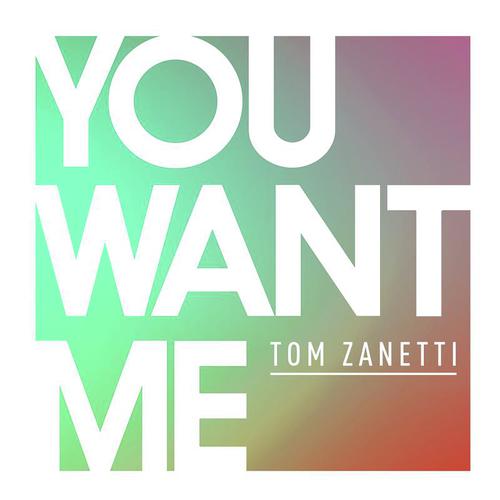 download Tom Zanetti, Sadie Ama, Nick Hannam  You Want Me mp3 Single Tracks song 