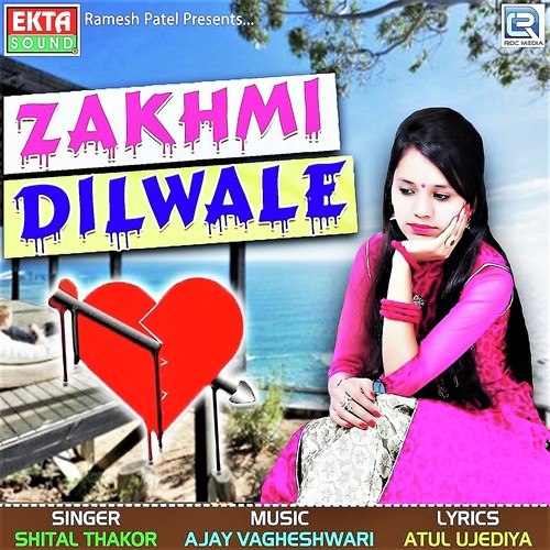 download Shital Thakor  Zakhmi Dilwale mp3 Single Tracks song 