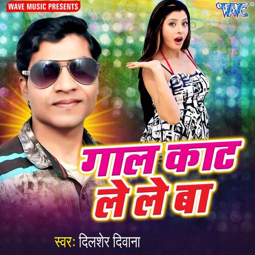 download Dilsher Dewana  Zindagi Bhar Dihalu Gam mp3 Single Tracks song 