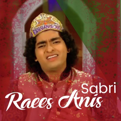 download Raees Anis Sabri Qawwal  Zindagi Ik Karaye Ka Ghar mp3 Single Tracks song 