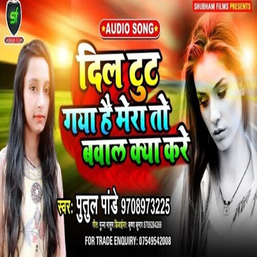 download Putul Panday  Dil Toot Gaya Hai Mera To Bawal Kya Kare mp3 Single Tracks song 