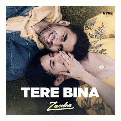 download Zaeden  Tere Bina mp3 Single Tracks song 